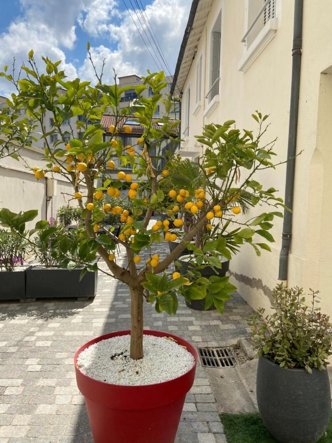 Nid D Amour F1 40M2 Calme Rdc Possibilite Jacuzzi Hammam Chamalieres Exterior photo